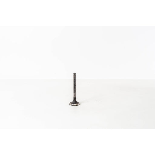 824990 Outlet valve