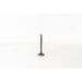 825020 Inlet Valve