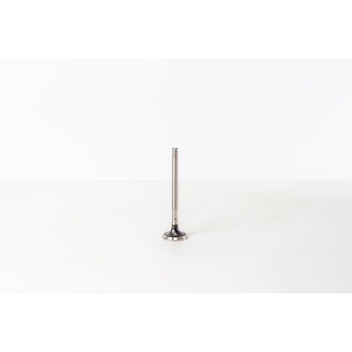 825030 Outlet valve