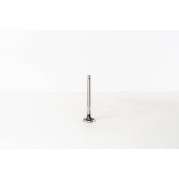 825030 Outlet valve