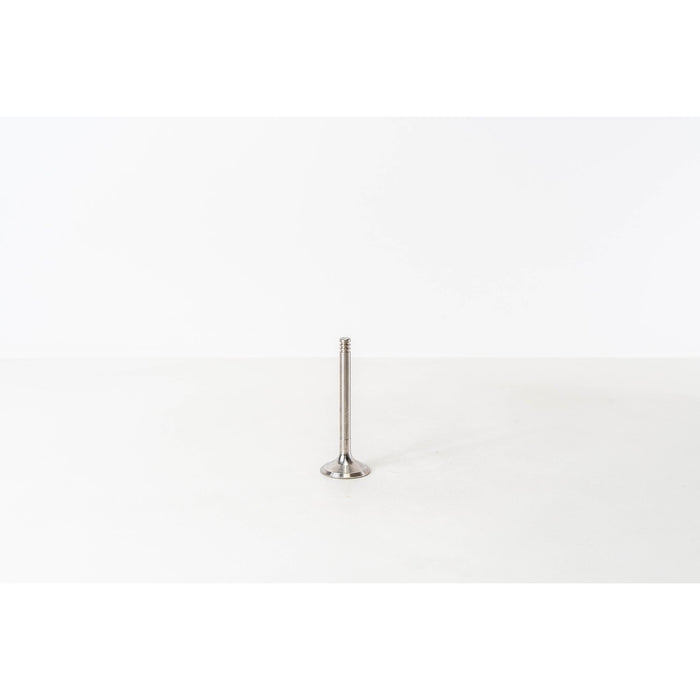 825140 Inlet Valve