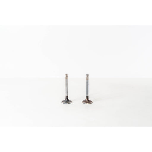 825210 Inlet Valve