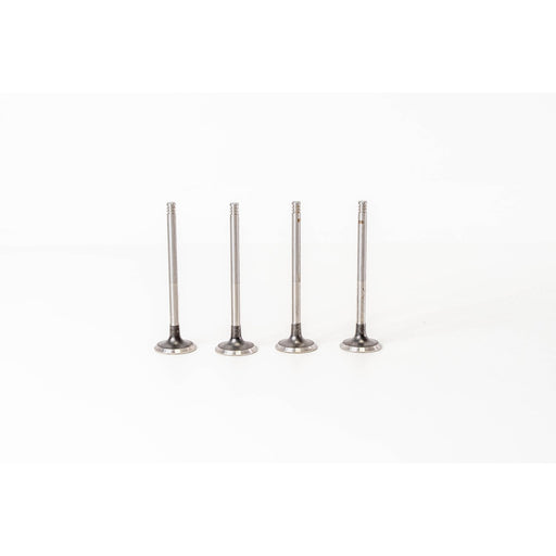 825225 Outlet valve