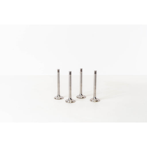 825240 Outlet valve
