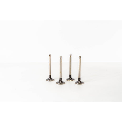825270 Inlet Valve