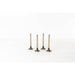 825270 Inlet Valve