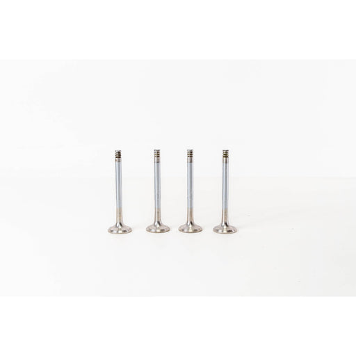 825280 Outlet valve