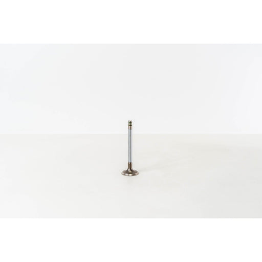825290 Inlet Valve