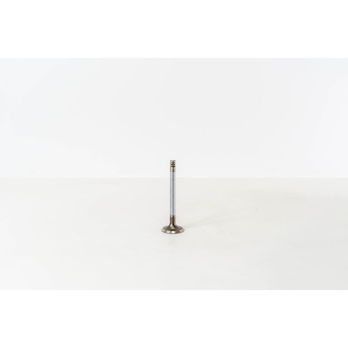 825290 Inlet Valve