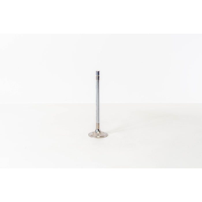 825400 Inlet Valve