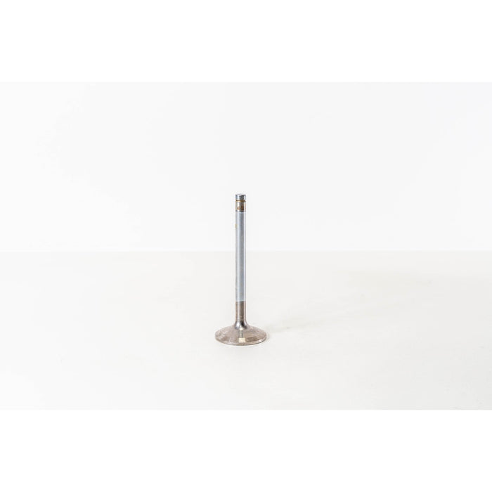 825440 Inlet Valve