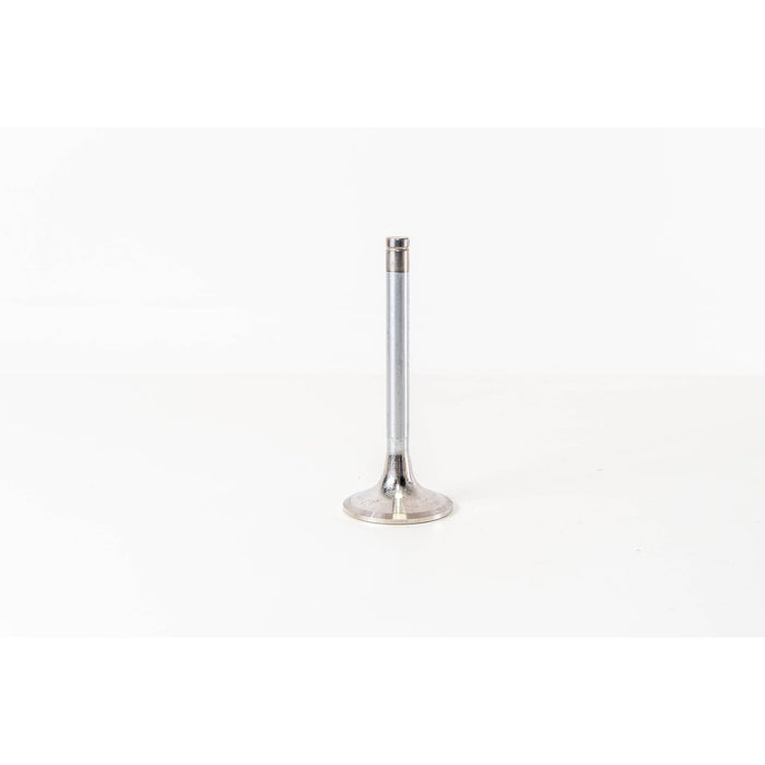 825460 Inlet Valve