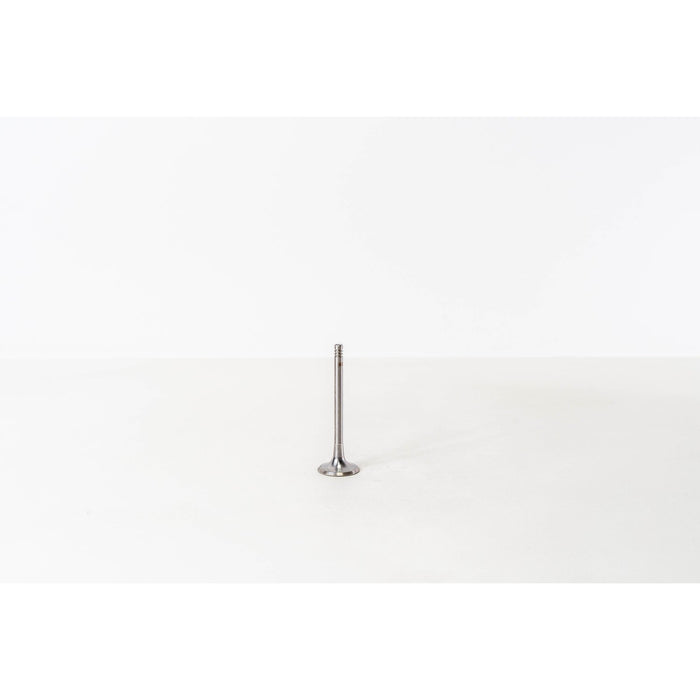 825470 Inlet Valve
