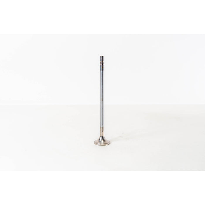825486 Outlet valve