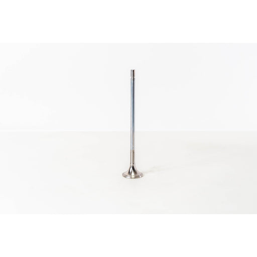 825490 Outlet valve