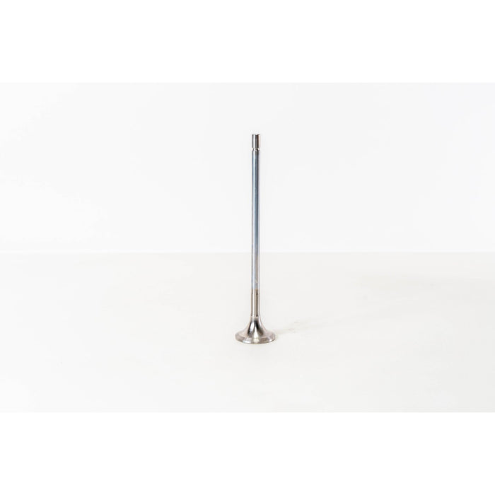 825490 Outlet valve