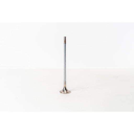 825495 Outlet valve