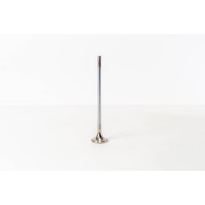 825495 Outlet valve