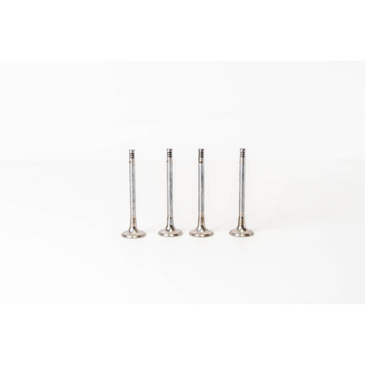 825520 Outlet valve