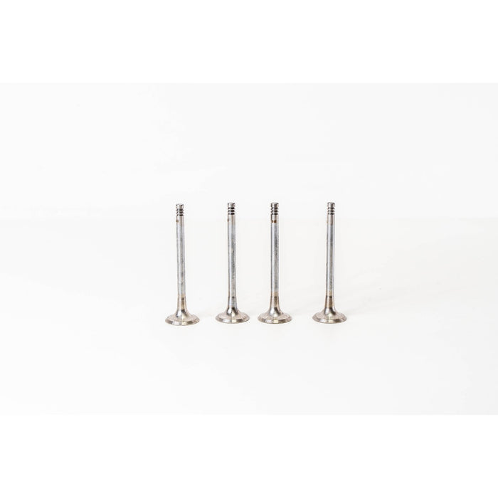825520 Outlet valve