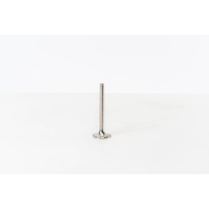 825564 Outlet valve