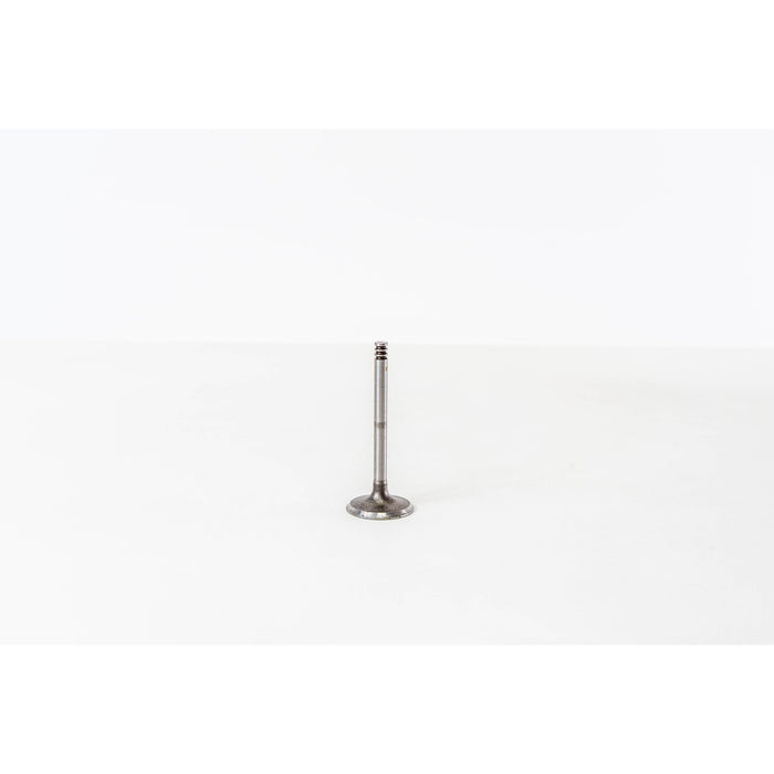 825566 Inlet Valve