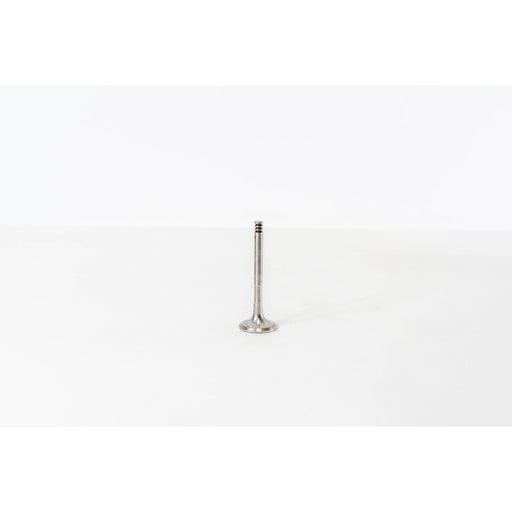 825568 Outlet valve