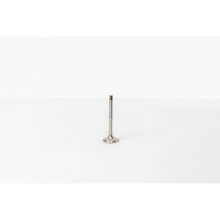 825568 Outlet valve