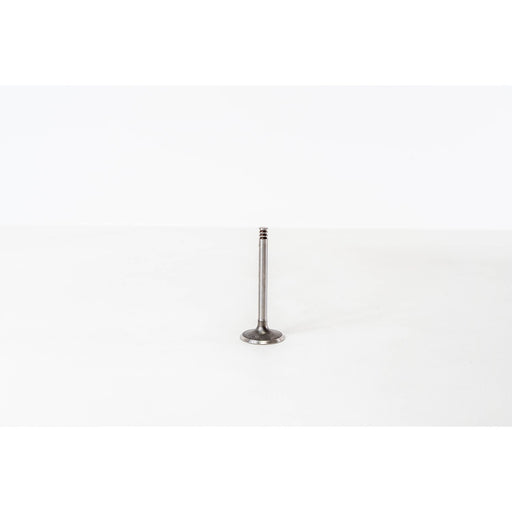 825612 Inlet Valve