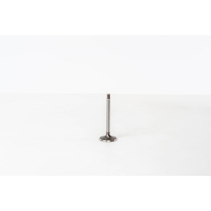 825612 Inlet Valve