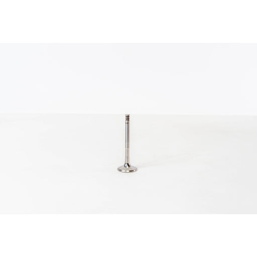 825614 Outlet valve