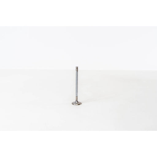 825774 Inlet Valve