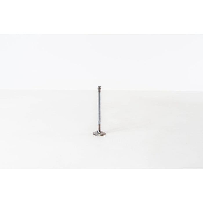 825774 Inlet Valve