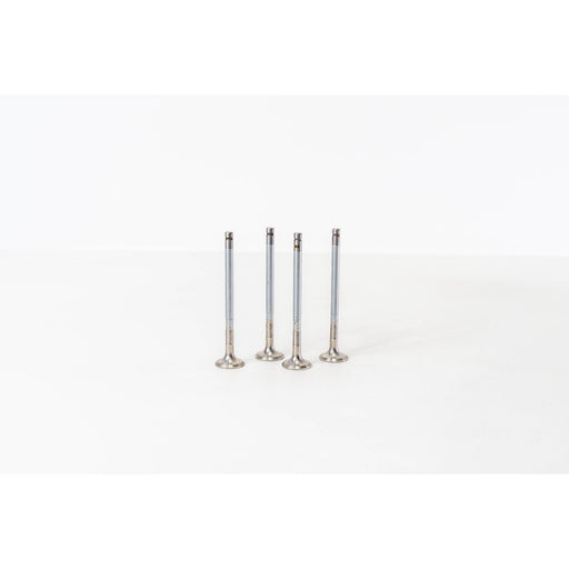 825776 Outlet valve