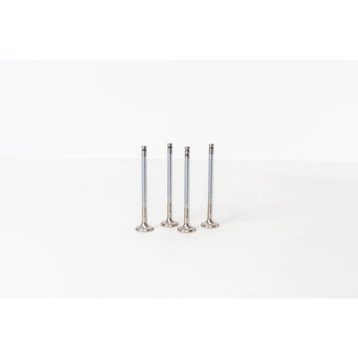 825776 Outlet valve
