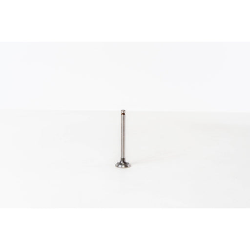 825866 Inlet Valve