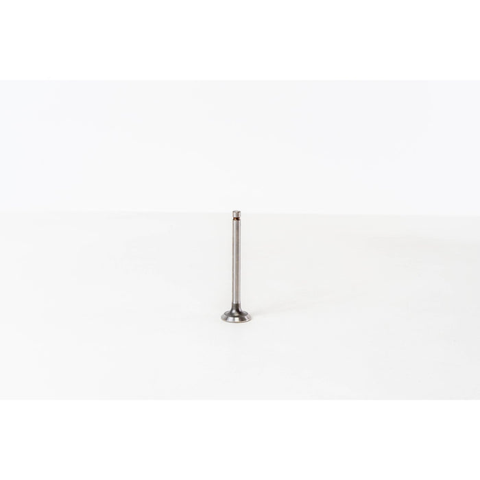 825866 Inlet Valve
