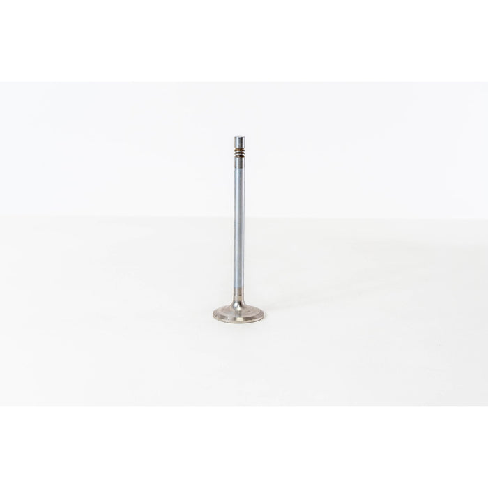 825885 Inlet Valve