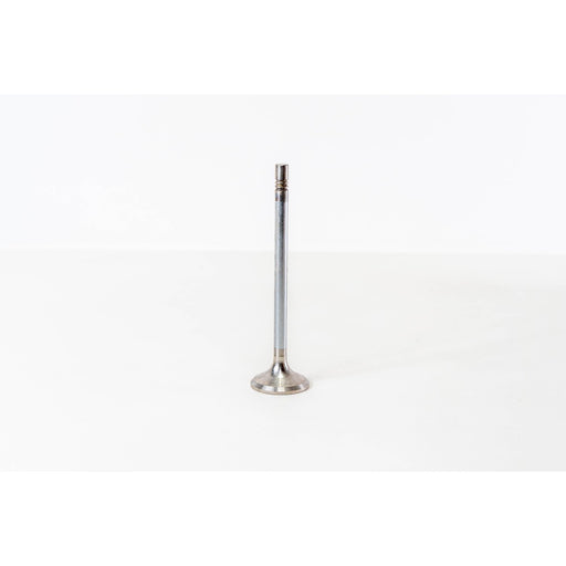 825886 Outlet valve