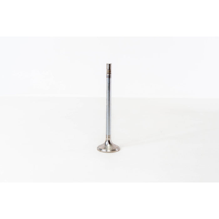825886 Outlet valve