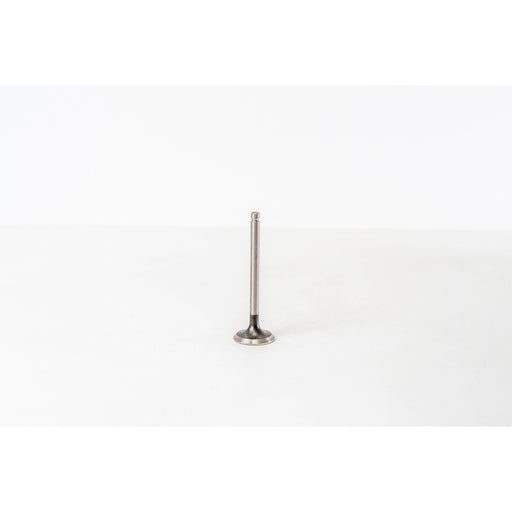 825913 Outlet valve
