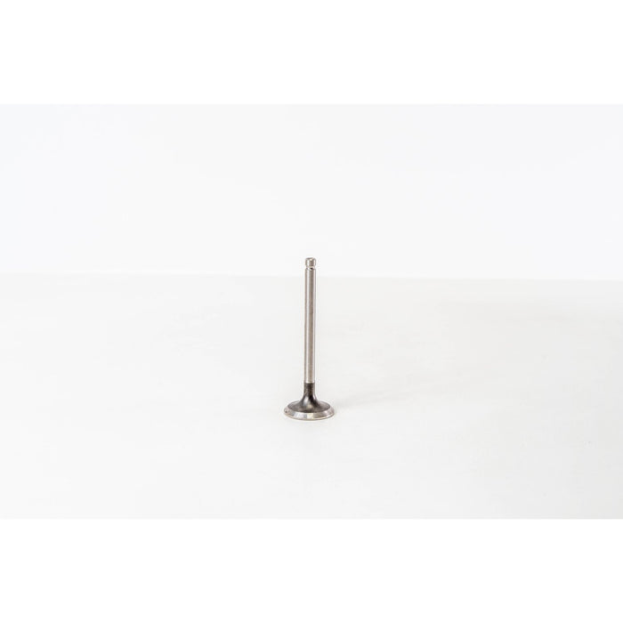 825913 Outlet valve