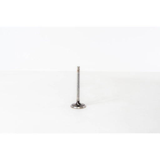 825918 Inlet Valve