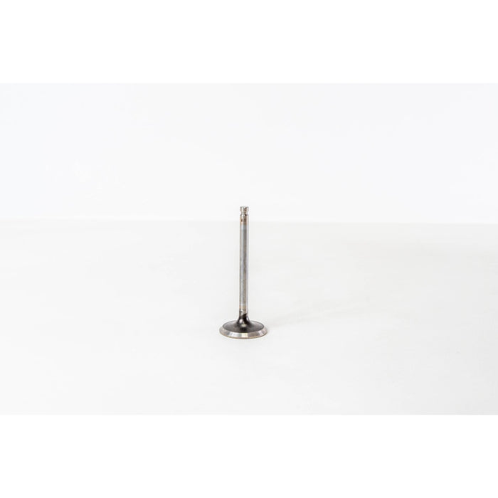 825918 Inlet Valve