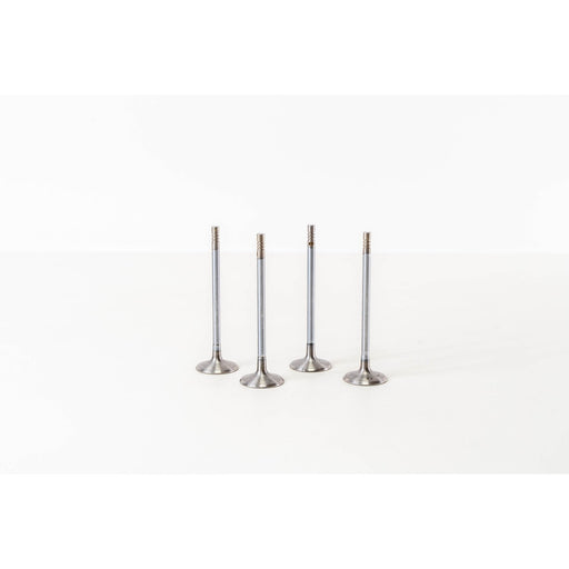 825940 Inlet Valve