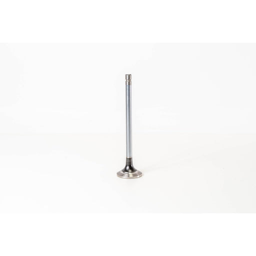 825990 Outlet valve
