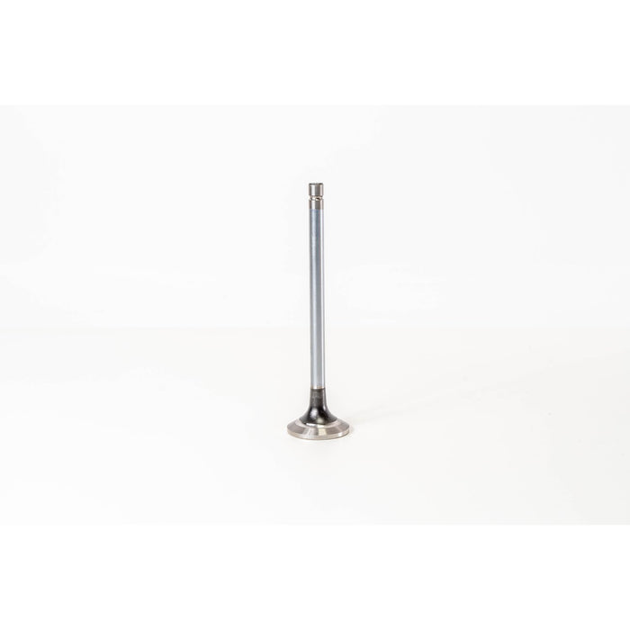 825990 Outlet valve