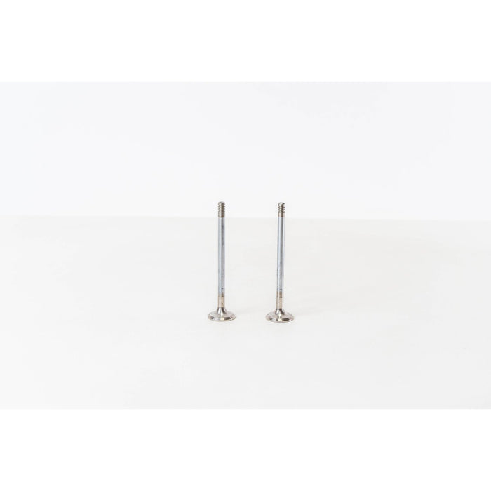 826060 Outlet valve