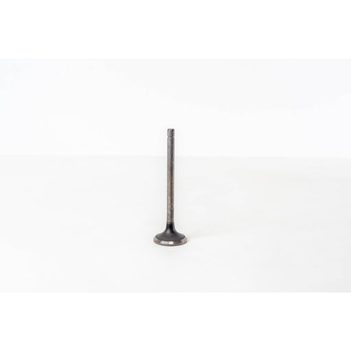 826120 Outlet valve