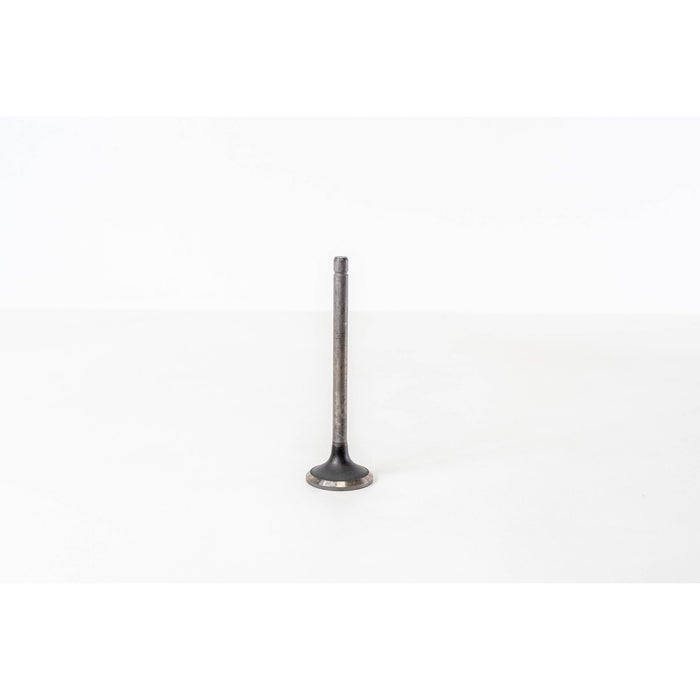 826120 Outlet valve